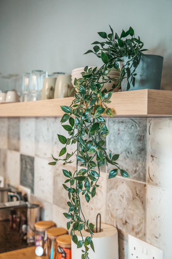 לרנקה The Green Apartment מראה חיצוני תמונה